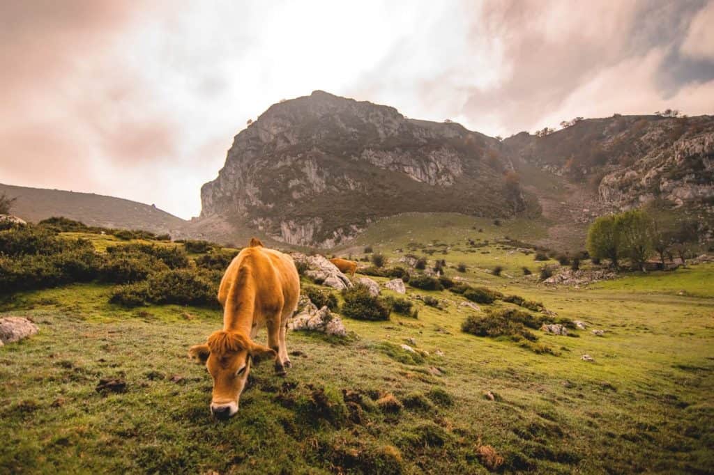 image España Lagos de Covadonga Asturias.jpg