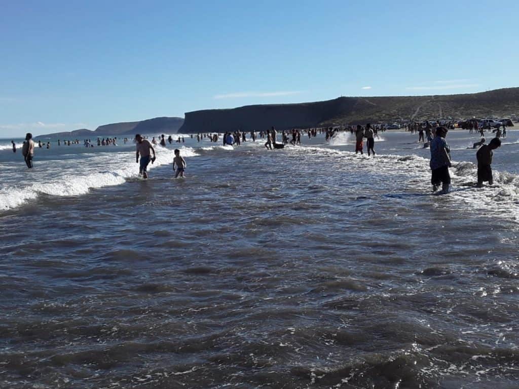 image Playa Belvedere Playa Belvedere vegetacion restos arqueologicos y una reserva natural imperdible para conocer en la Patagonia Argentina 12