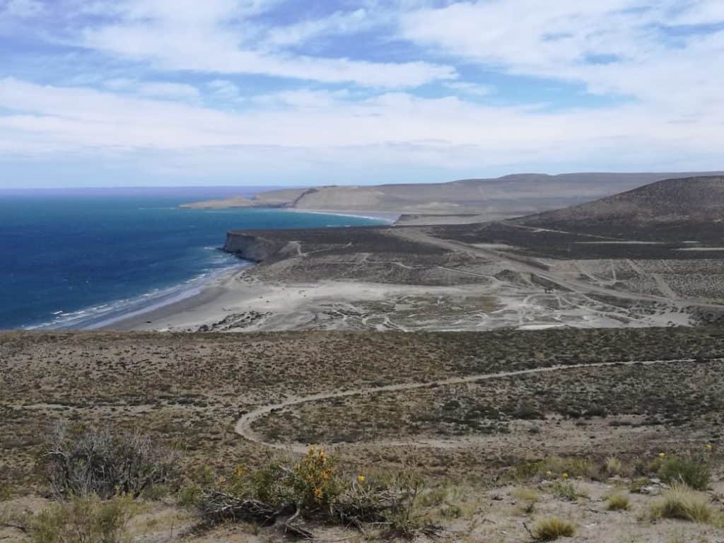 Playa Belvedere: vegetación, restos arqueológicos y una reserva natural imperdible para conocer en la Patagonia Argentina