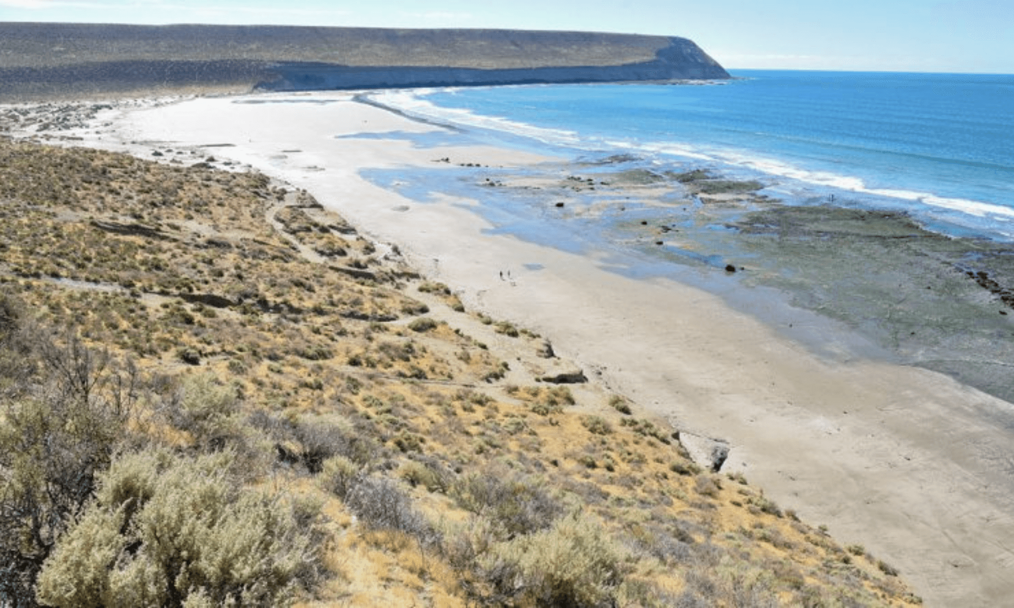 Playa Belvedere vegetación, restos arqueológicos y una reserva natural imperdible para conocer en la Patagonia argentina