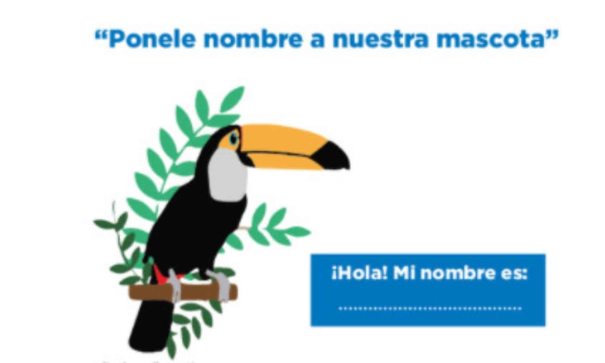 Puerto Iguazú lanza concurso para poner nombre a su nueva mascota turística oficial y ofrece premios para el participante ganador 1