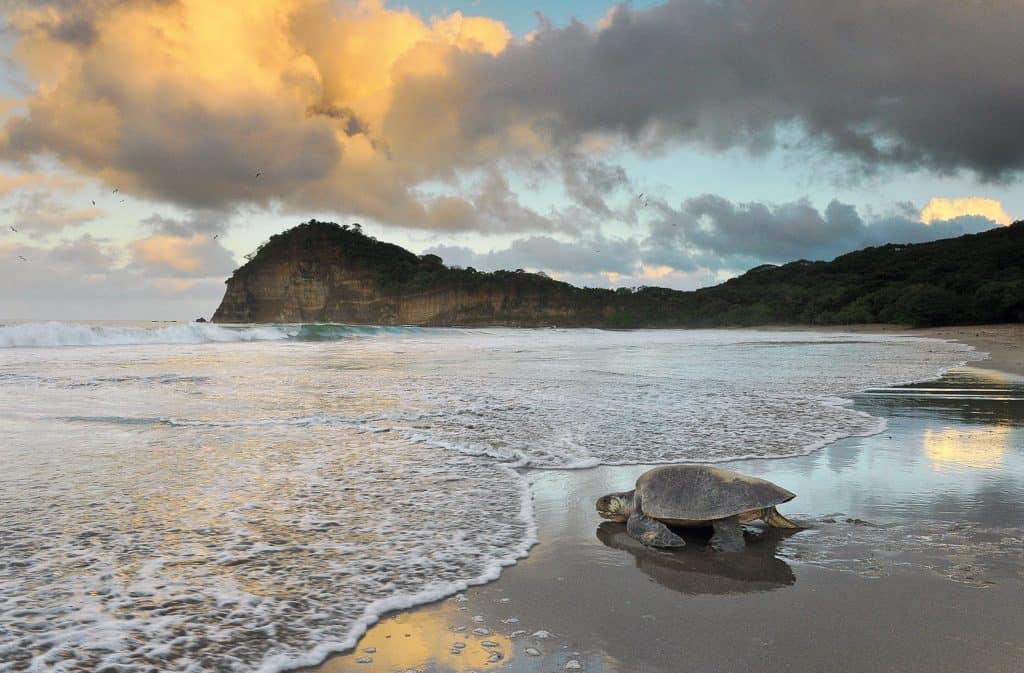 Qué ver en San Juan del Sur