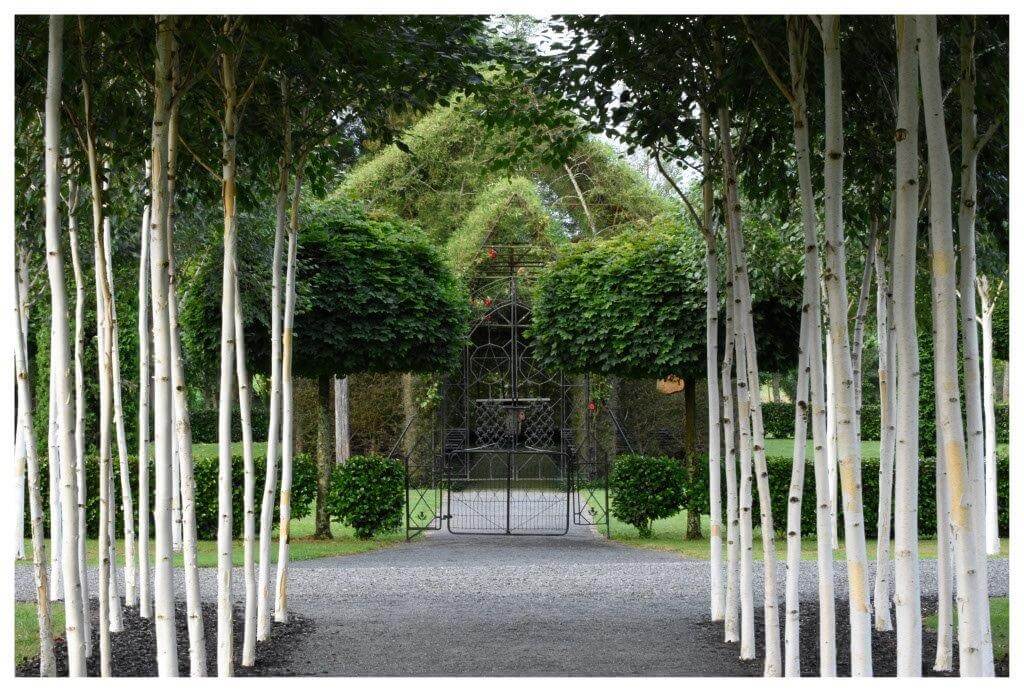 Ōhaupō TreeChurch iglesia de árbol