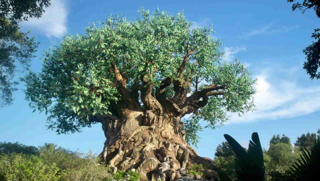 image disney arbol de la vida animal kingdom disney