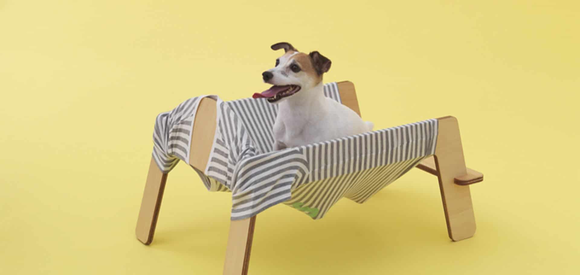 Inauguró la muestra "Arquitectura para perros" en Japan House London, Inglaterra