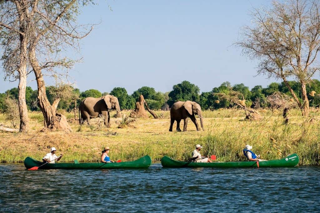 internacional Zimbabue planea recibir a turistas internacionales a partir de Octubre image internacional canoe journey mana pools zimbabwe timbuktu travel
