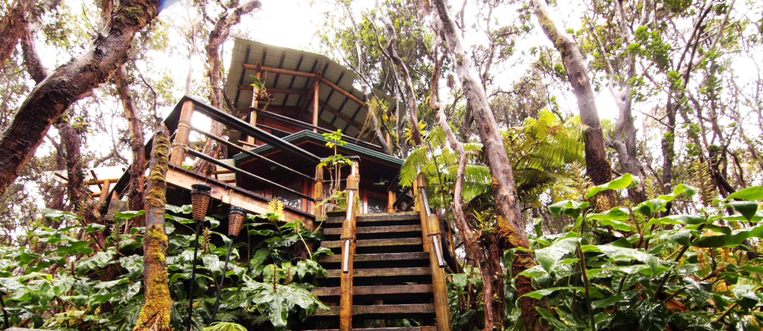 Hawái: es posible alquilar una casa del árbol para pasar tus vacaciones cerca de un volcán