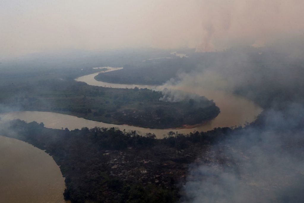 Brasil: el Pantanal atraviesa uno de los peores incendios de la historia y está destruyendo el mayor refugio de jaguares del mundo