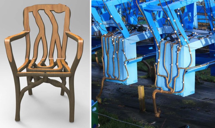 image árboles full grown chair gavin munro 1