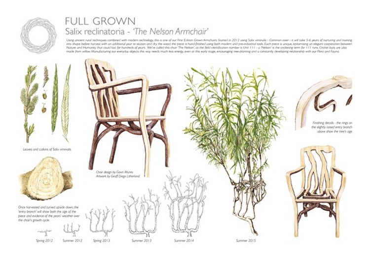 image árboles full grown chair gavin munro 3