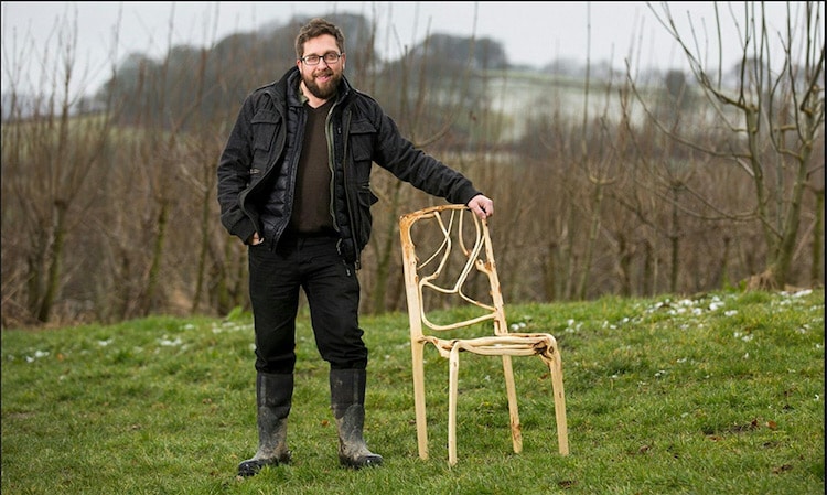 image árboles full grown chair gavin munro 8