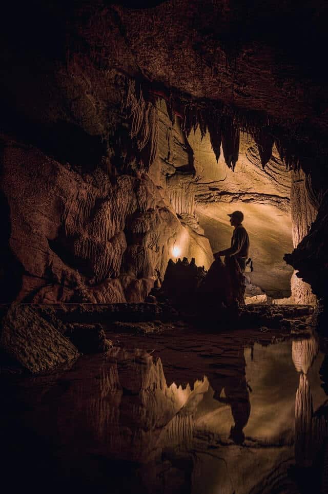 image Cueva de luciernagas en Nueva Zelanda jed owen 11SmxL6FI1A unsplash 1