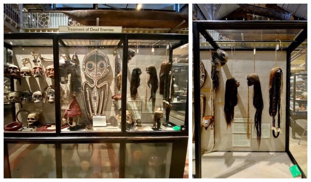 El Museo Pitt Rivers de Oxford quita las "cabezas reducidas" de sus exhibiciones