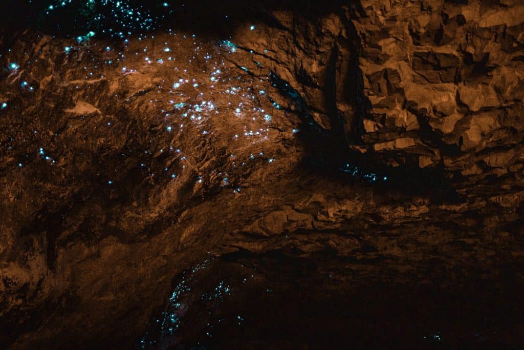 image Cueva de luciernagas en Nueva Zelanda nicole geri OEZBV8OizGc unsplash