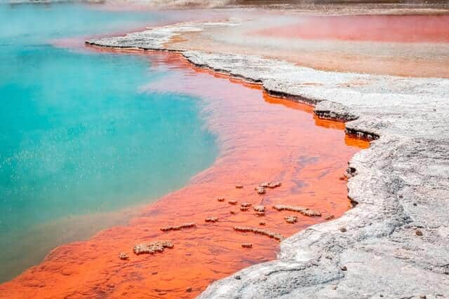 image Cueva de luciernagas en Nueva Zelanda sebastien goldberg CmU1hFeJgyk unsplash 1