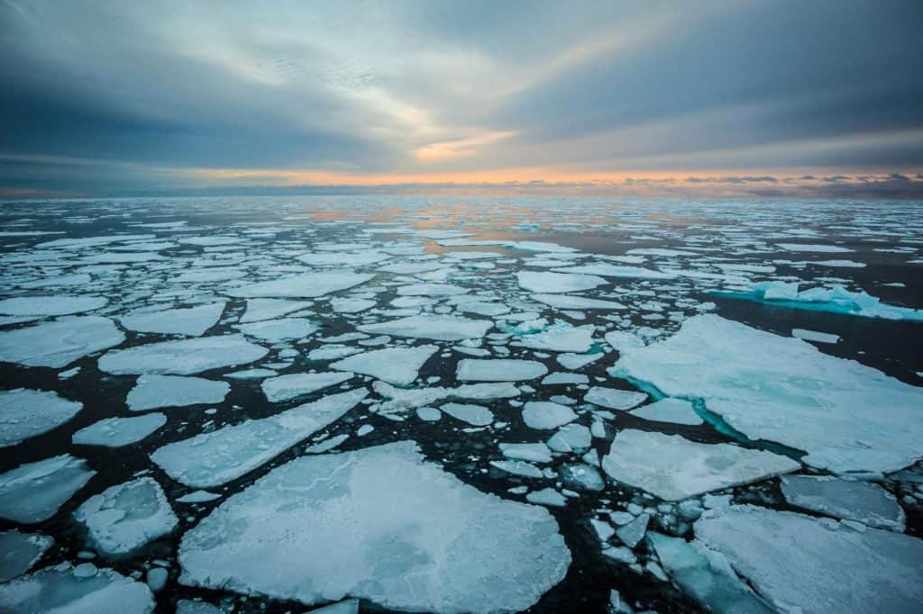 El hielo del Ártico todavía no se congeló y es la primera vez que sucede desde que hay registros