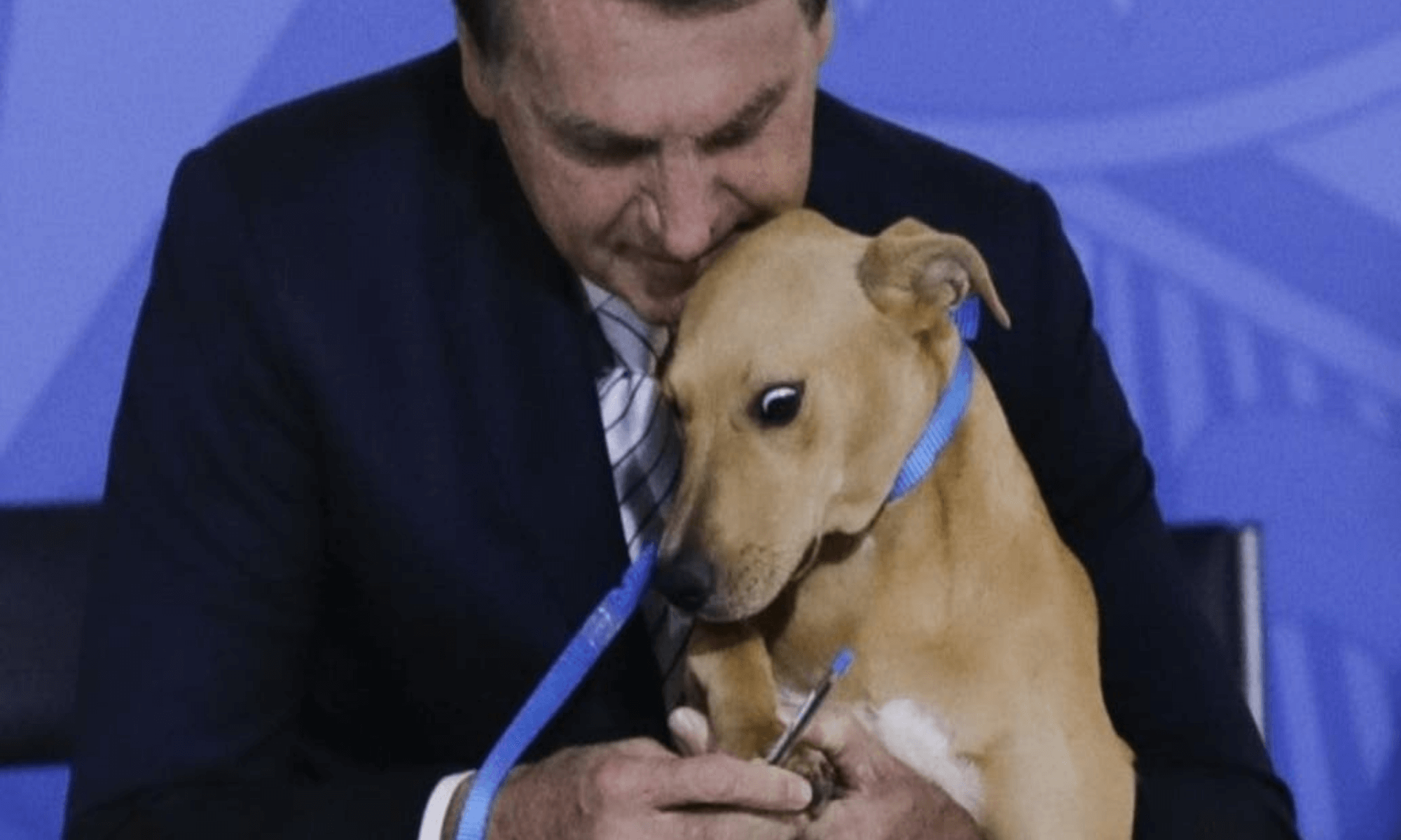 Bolsonaro promulga ley contra el maltrato animal