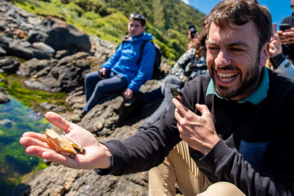 image travesías en el sur de Chile Estas travesias en el sur de Chile son experiencias unicas para explorar el interior de las comunidades y tomar contacto con sus residentes 4