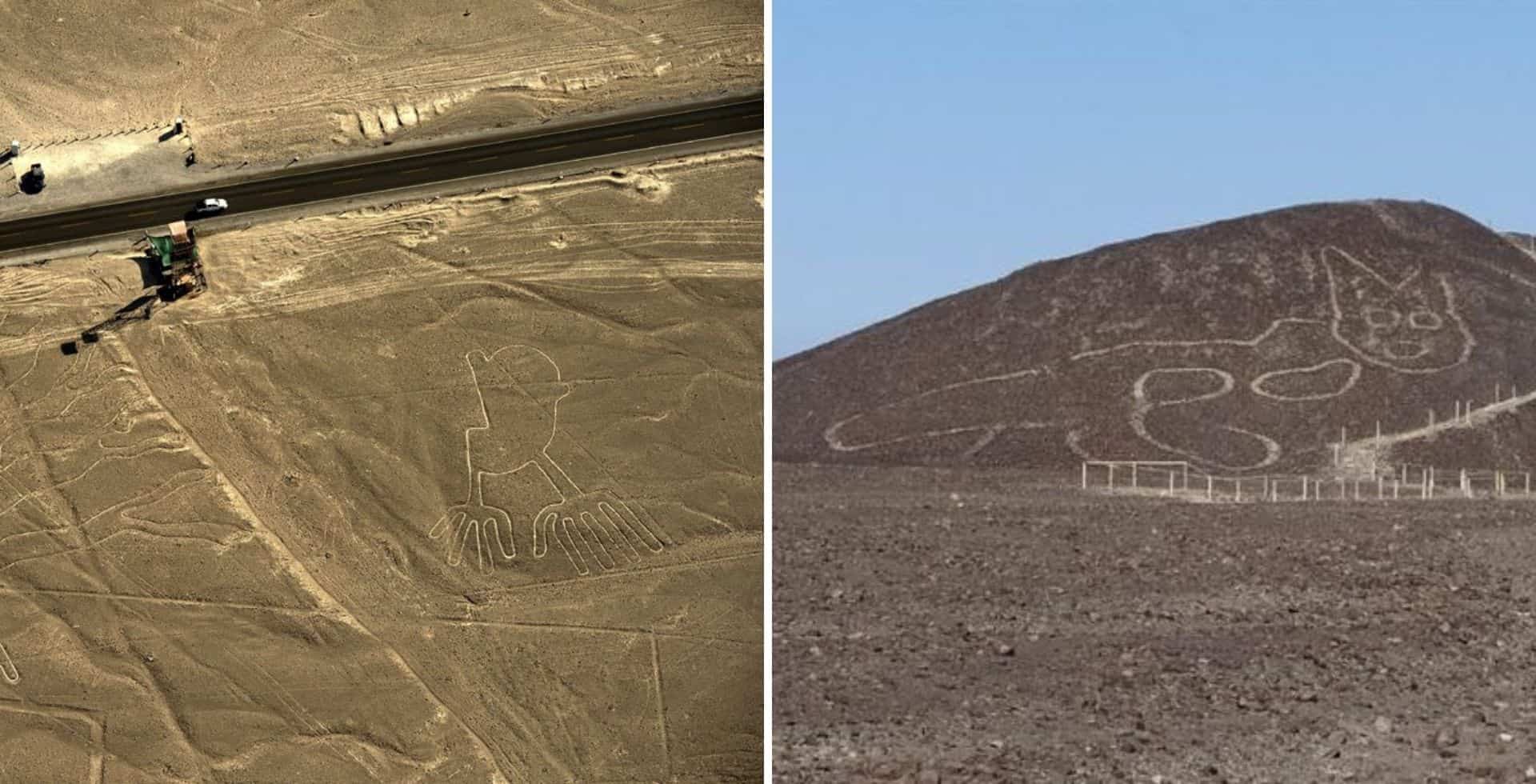 Peru: se descubrió la figura de un gato de 37 metros entre las líneas de Nasca