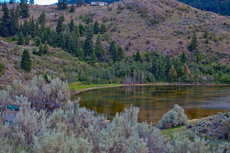 image Spotted Lake GoToVan