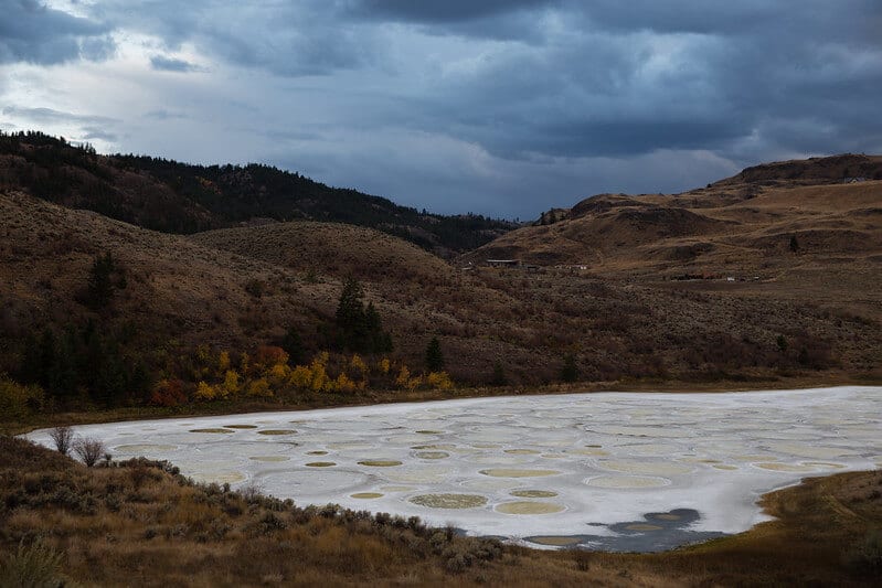 image Spotted Lake Mack Male 2