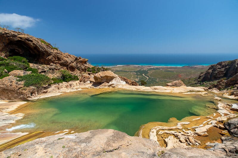 image Socotra Valerian Guillot