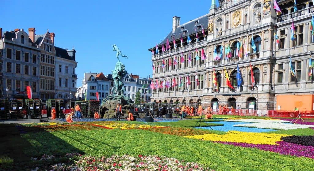 image nello y su perro patrasche amberes grote markt