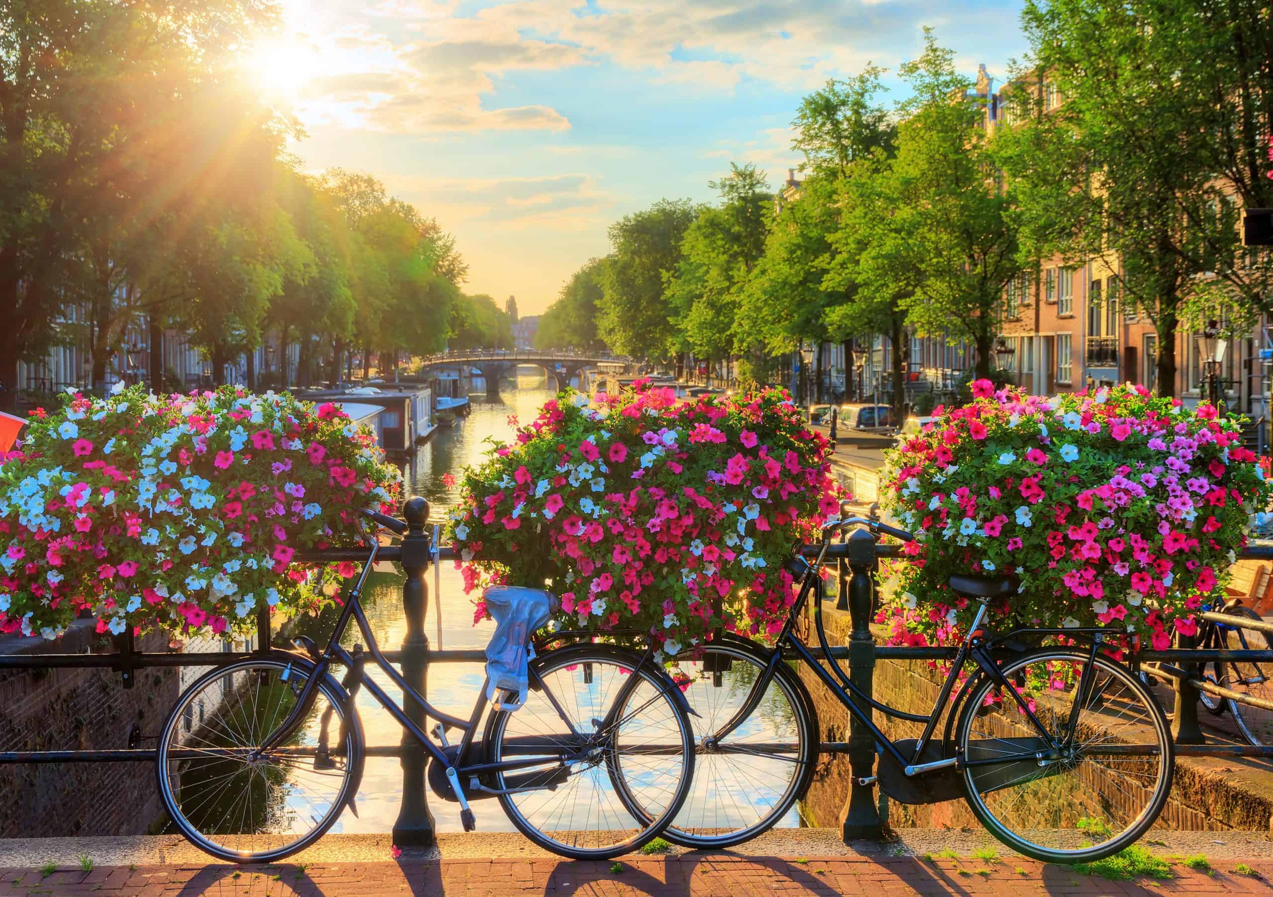 Países Bajos: Ámsterdam utilizará flores para impedir que los ciclistas aten las bicicletas a los puentes