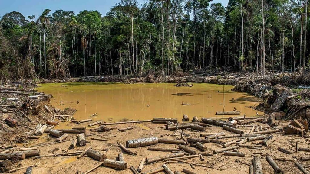 image deforestacion amazonas colombia portadas