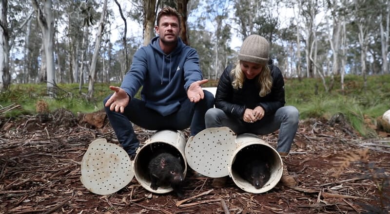 Demonios de Tasmania vuelven a recorrer Australia por primera vez en 3.000 años