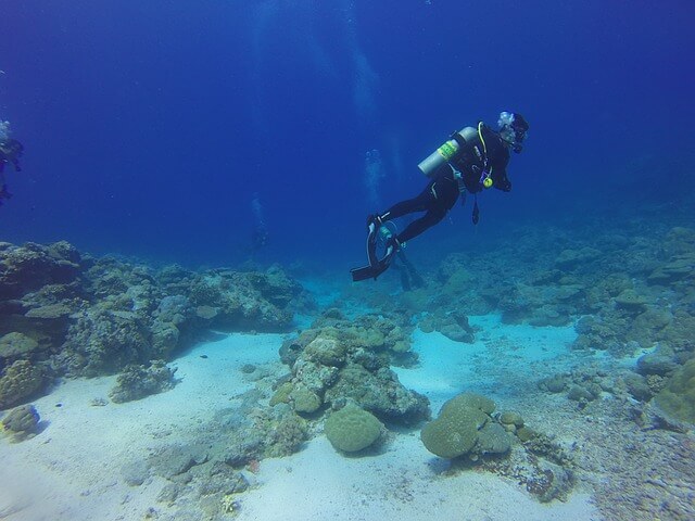 image Socotra dive 1149013 640 1