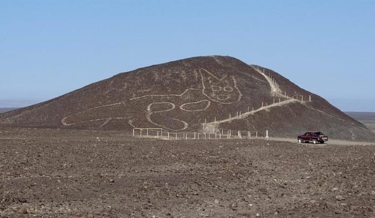 Peru: se descubrió la figura de un gato de 37 metros entre las líneas de Nasca