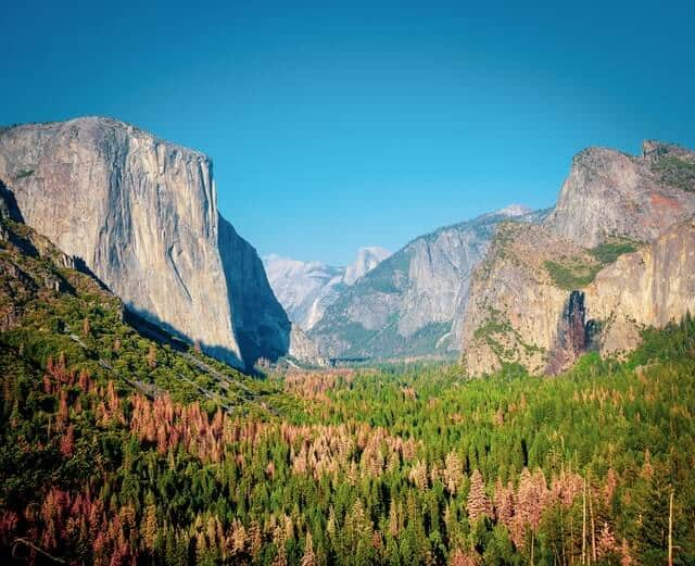 image Parque nacional Yosemite hari nandakumar XKwLjOxjDl8 unsplash 1