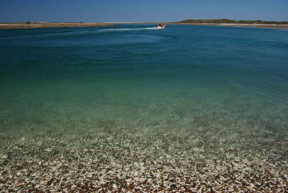 Punta Perdices: el Caribe Patagónico