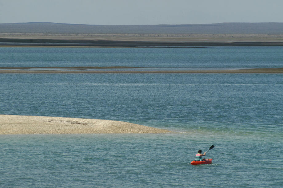 Punta Perdices: el Caribe Patagónico