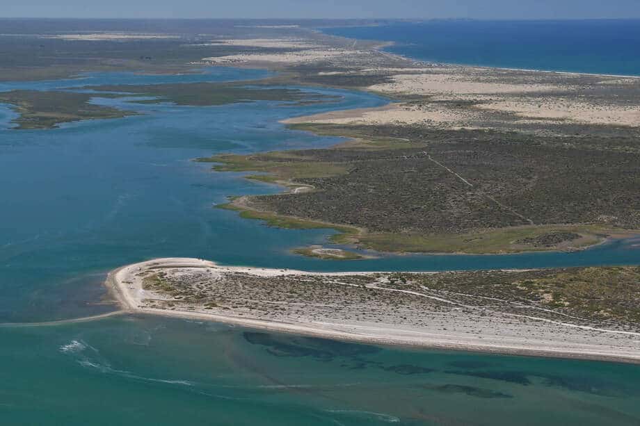 Punta Perdices: el Caribe Patagónico