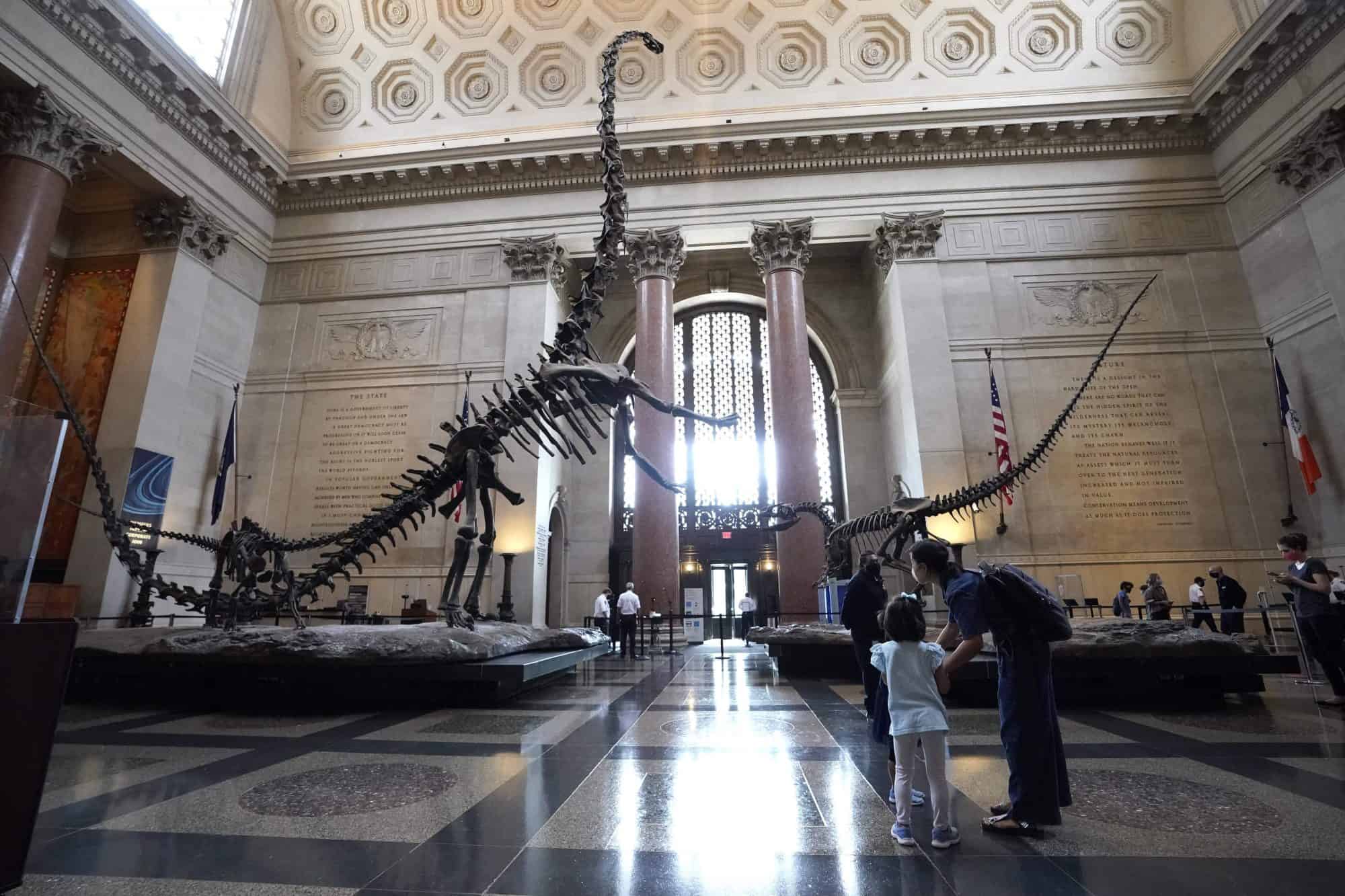 El Museo Americano de Historia Natural se prepara para Halloween con eventos online