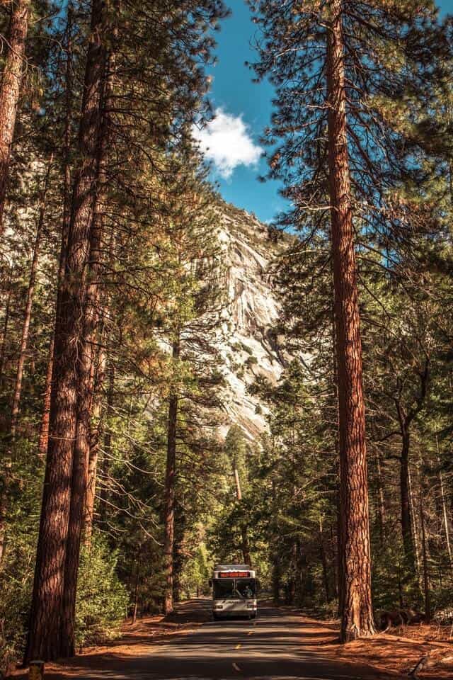 image Parque nacional Yosemite pexels mare collantes 2221893 1