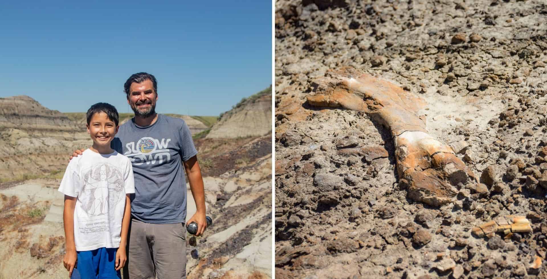 Canadá: un niño de 12 años encontró restos fósiles de dinosaurio