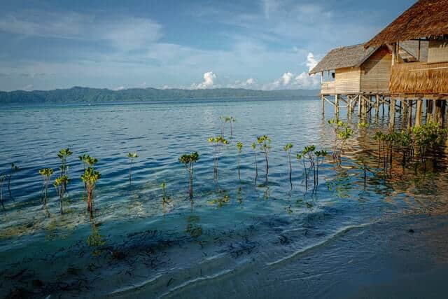 image Raja Ampat saul mercado r 2t0AuZMNQ unsplash 1