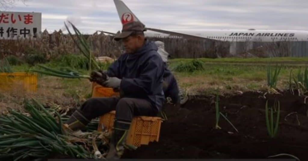 granja en el medio del Aeropuerto