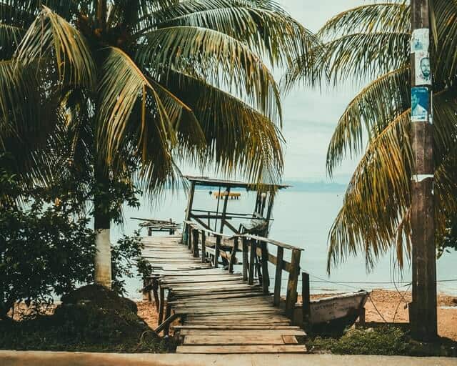 image Roatan tyler domingue zXfzcxqmaj8 unsplash 1