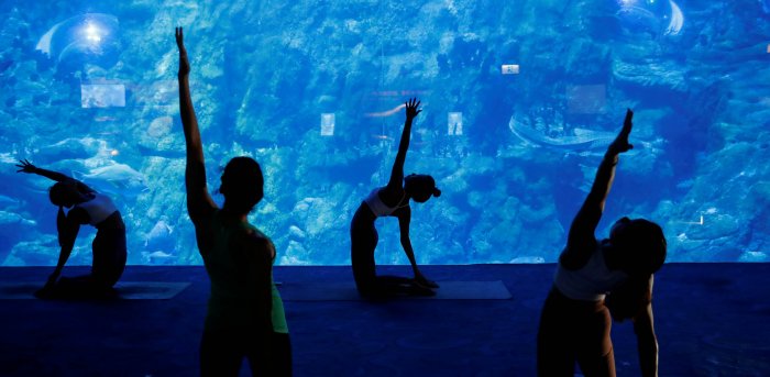 acuario Ahora es posible tomar clases de yoga en un acuario de Hong Kong Ahora es posible tomar clases de yoga en un acuario de Hong Kong