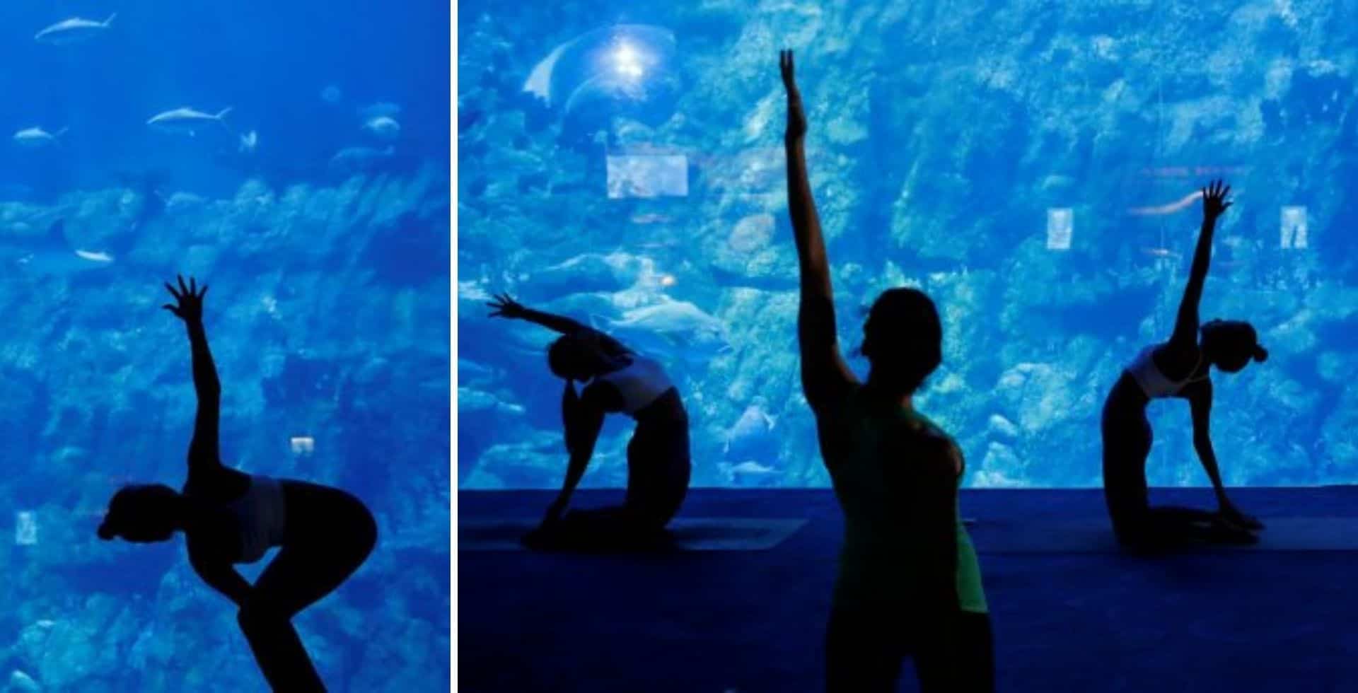 Ahora es posible tomar clases de yoga en un acuario de Hong Kong