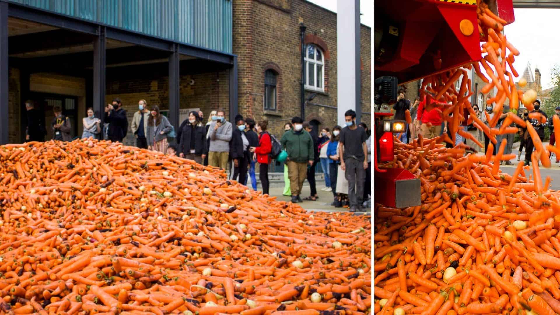 Un estudiante de arte tiró alrededor de 240000 zanahorias en una calle de Londres como parte de una muestra