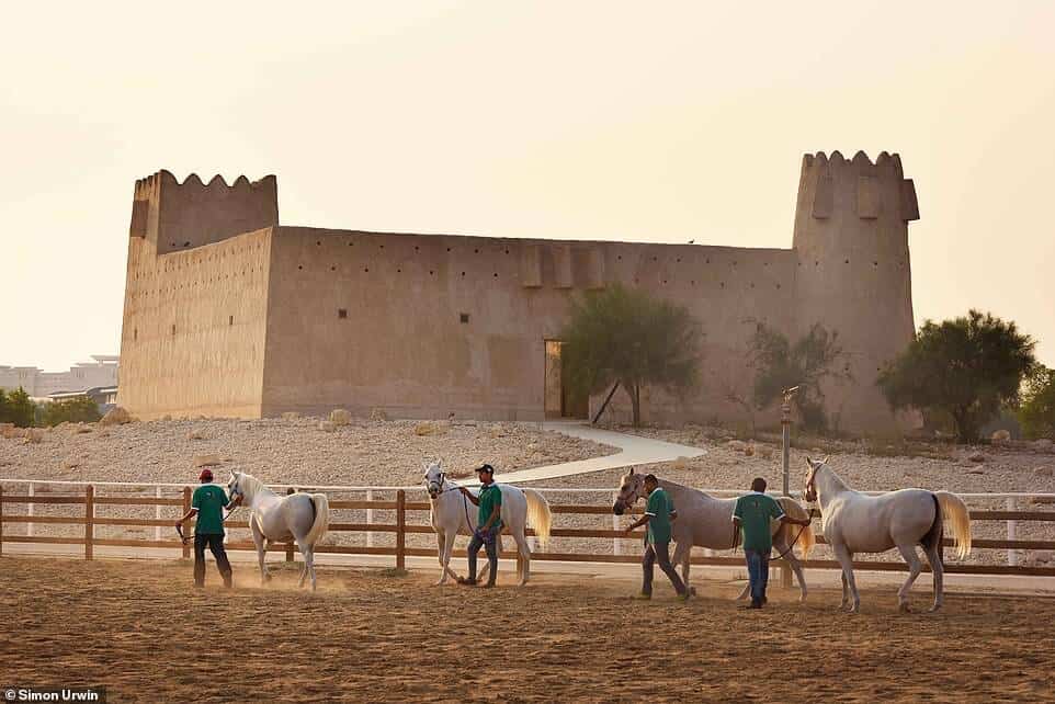 hotel de cinco estrellas para CABALLOS