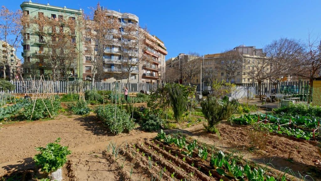 Barcelona ha sido elegida como la Capital Mundial para la Alimentación Sostenible en 2021