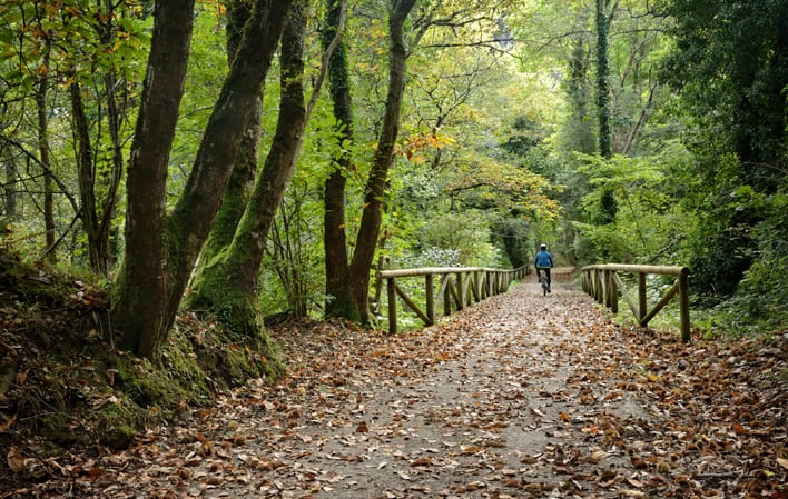 image Cómo es el recorrido de la Senda del Oso Como es el recorrido de la Senda del Oso un sendero de 22 kilometros para conocer lo mejor de Asturias 4