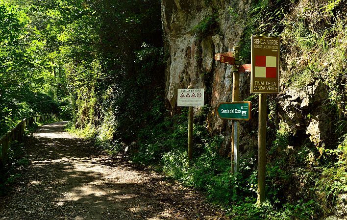 image Cómo es el recorrido de la Senda del Oso Como es el recorrido de la Senda del Oso un sendero de 22 kilometros para conocer lo mejor de Asturias 5