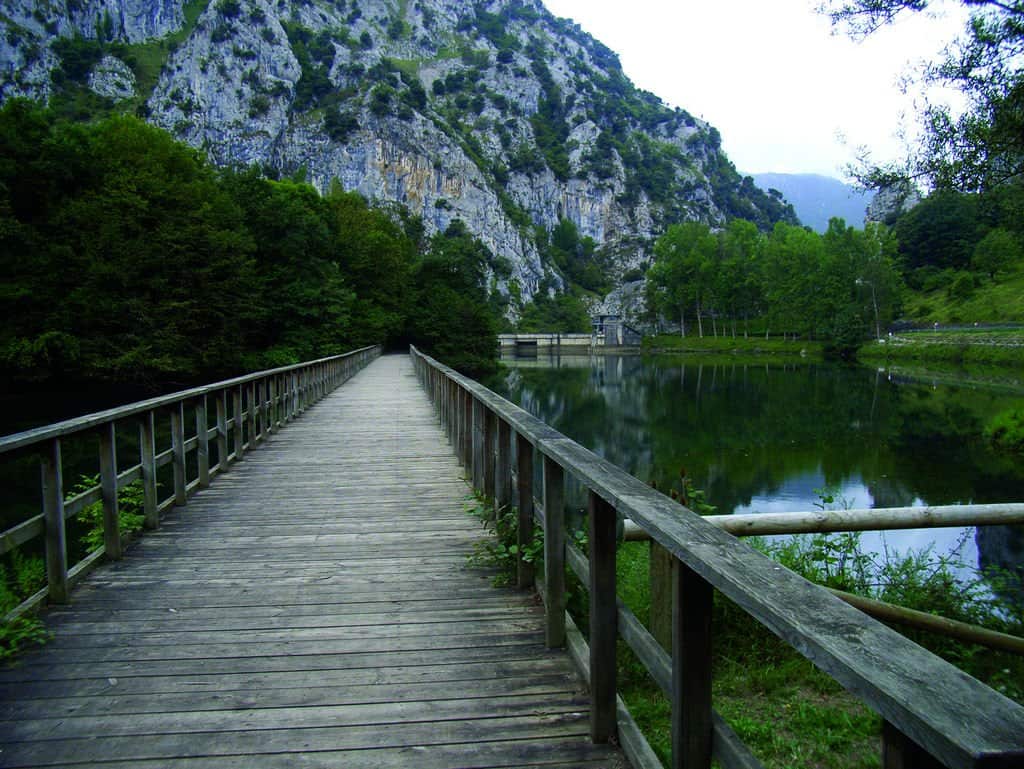 image Cómo es el recorrido de la Senda del Oso Como es el recorrido de la Senda del Oso un sendero de 22 kilometros para conocer lo mejor de Asturias 7